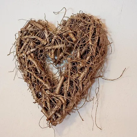 度假居 In Tyrol Near Lift